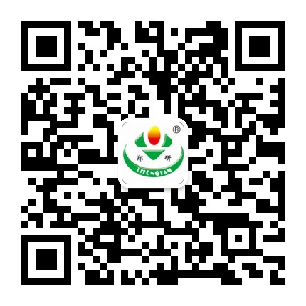 深圳海外國際旅行社網